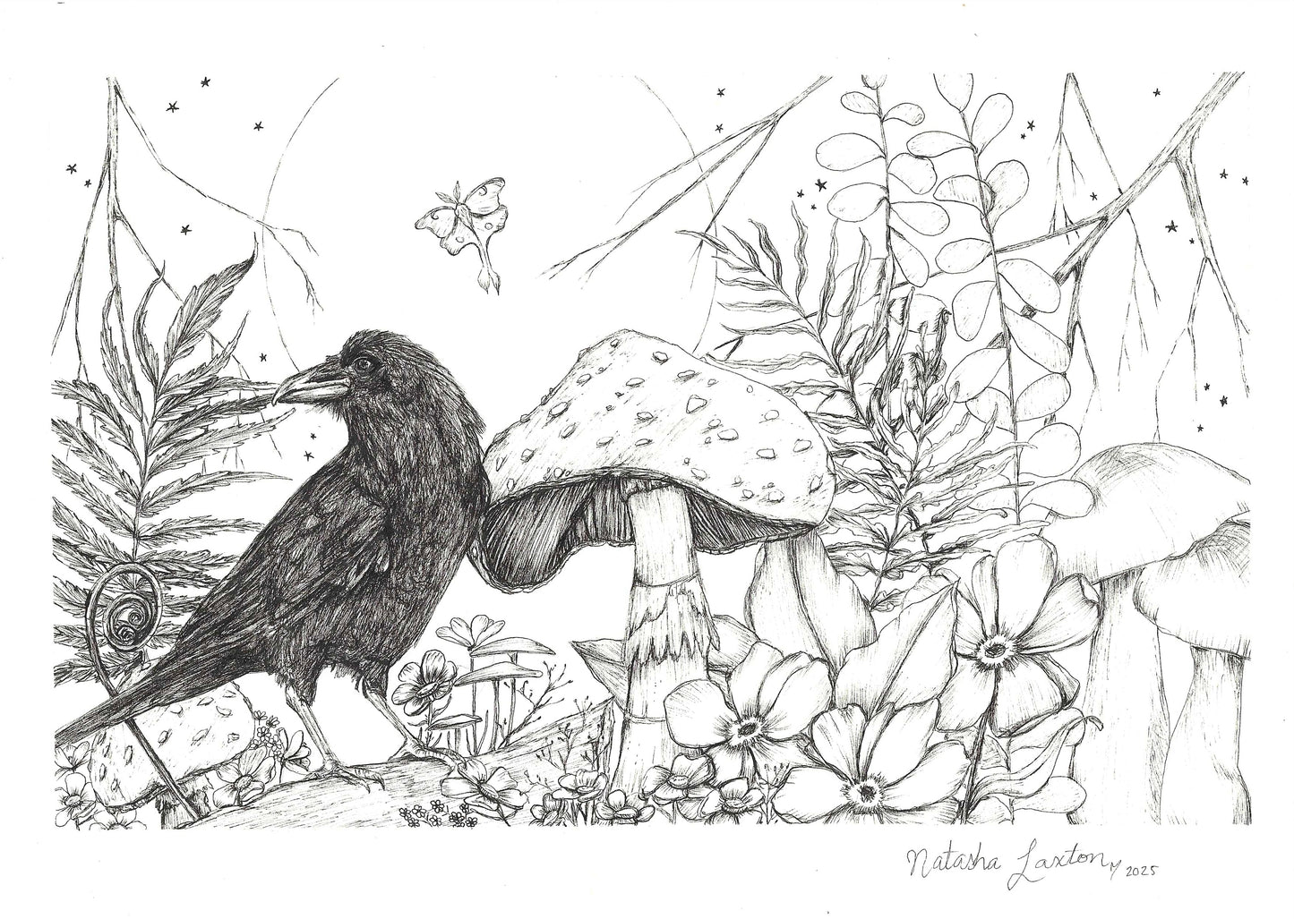 "Veil of Wilderness"