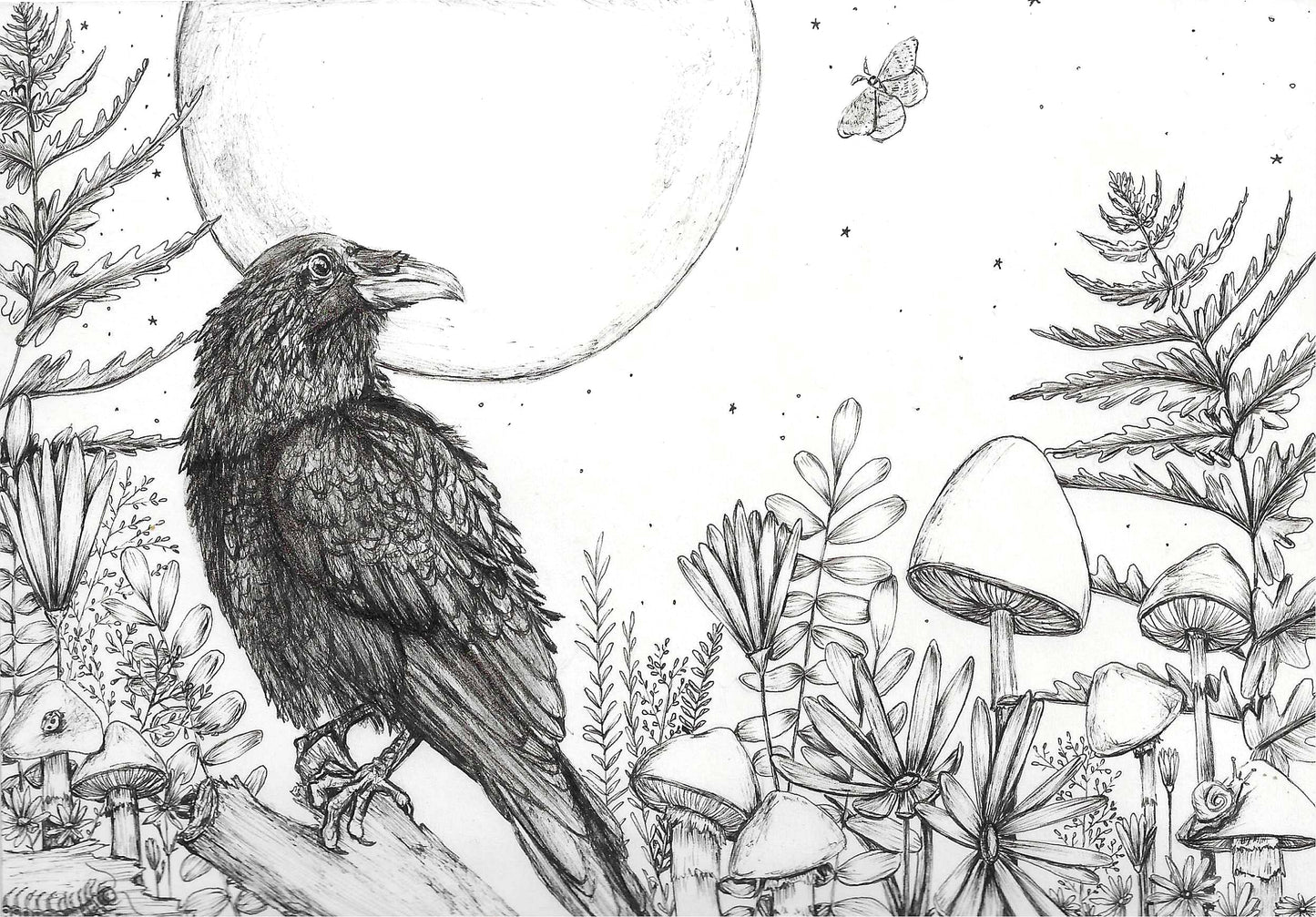 Moonlit Solitude
