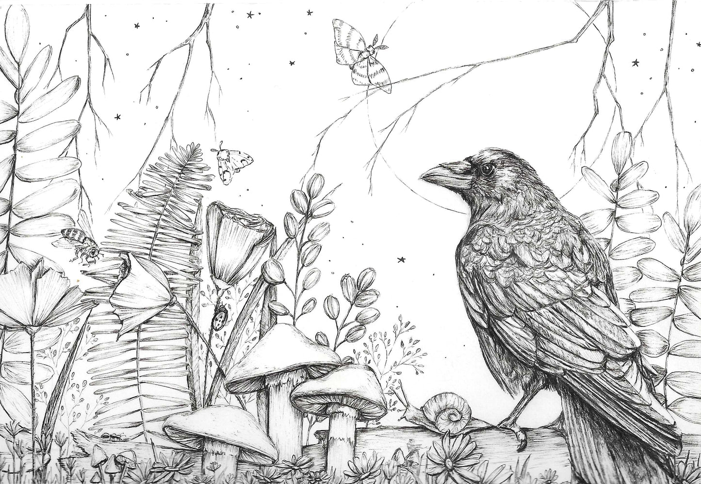 A world beneath the wing