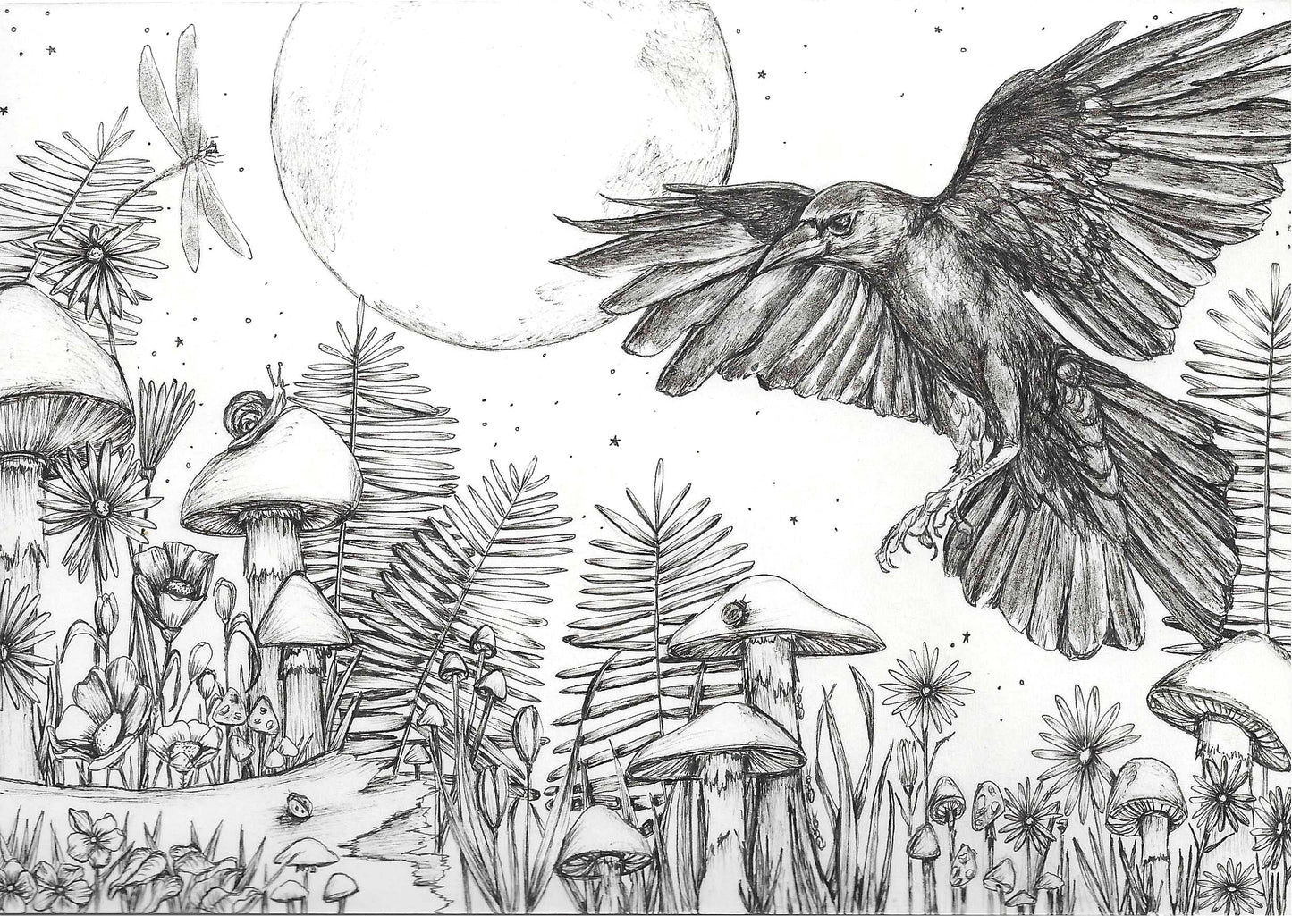 Lunar Wings
