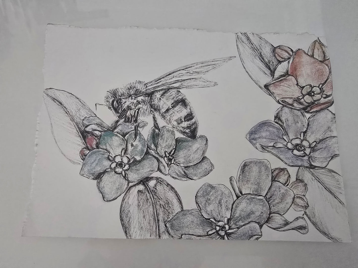 "Messenger of Bloom"