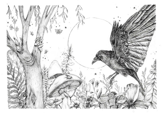 Echoes of the Wild