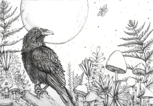 Moonlit Solitude