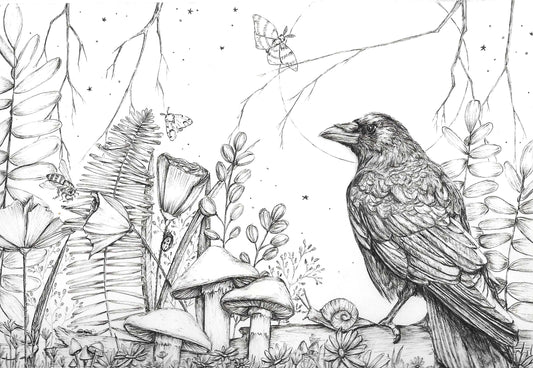 A world beneath the wing