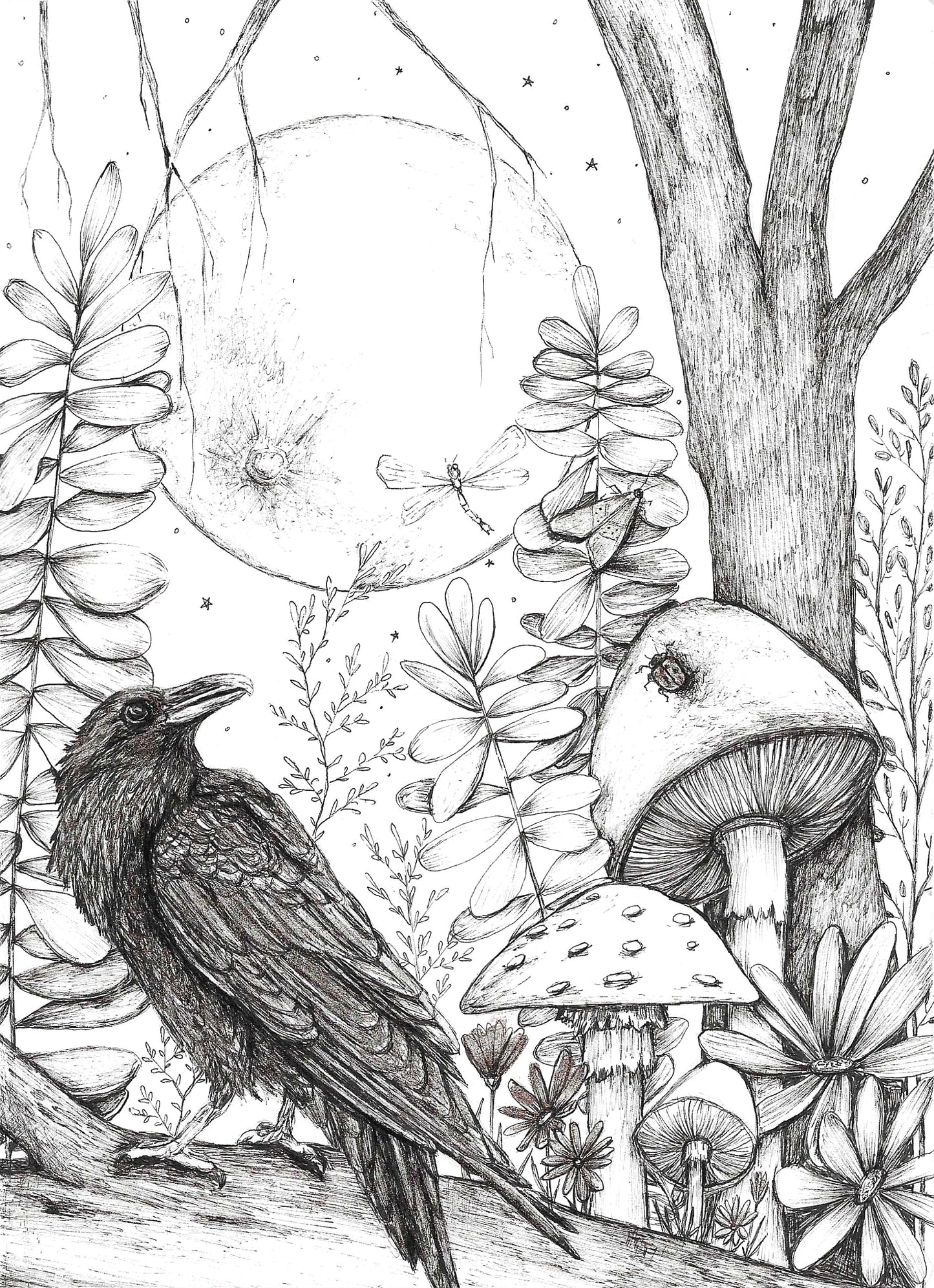 "A Gathering of Quiet"