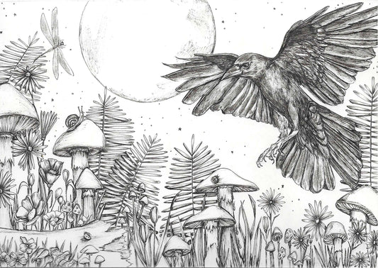 Lunar Wings
