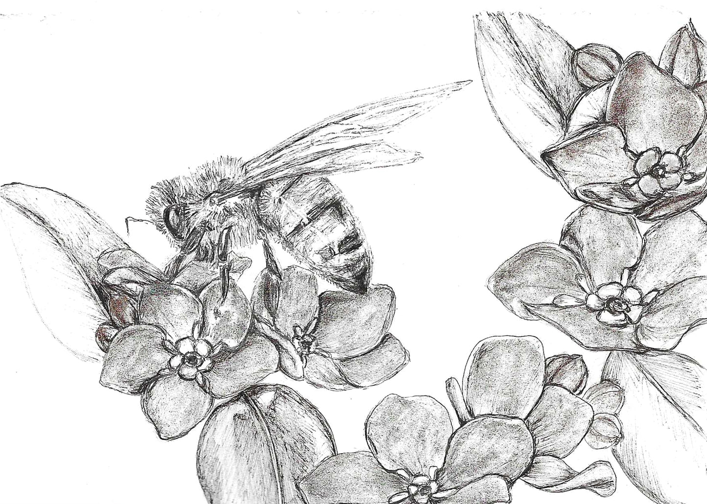 "Messenger of Bloom"