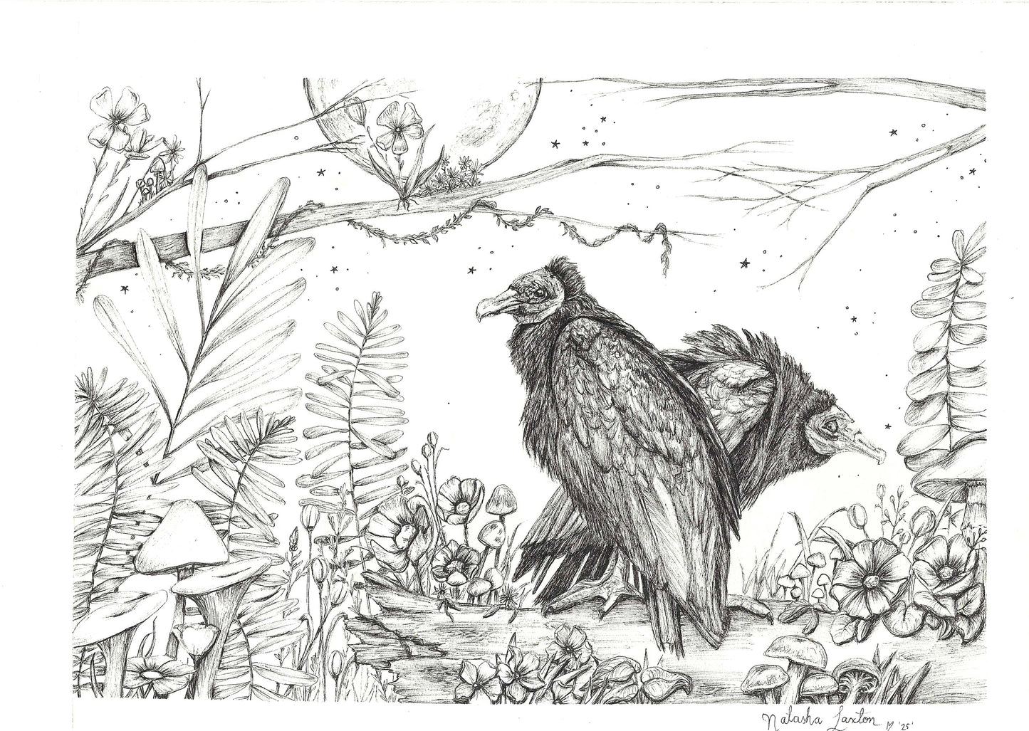 "The Stillness Beneath"