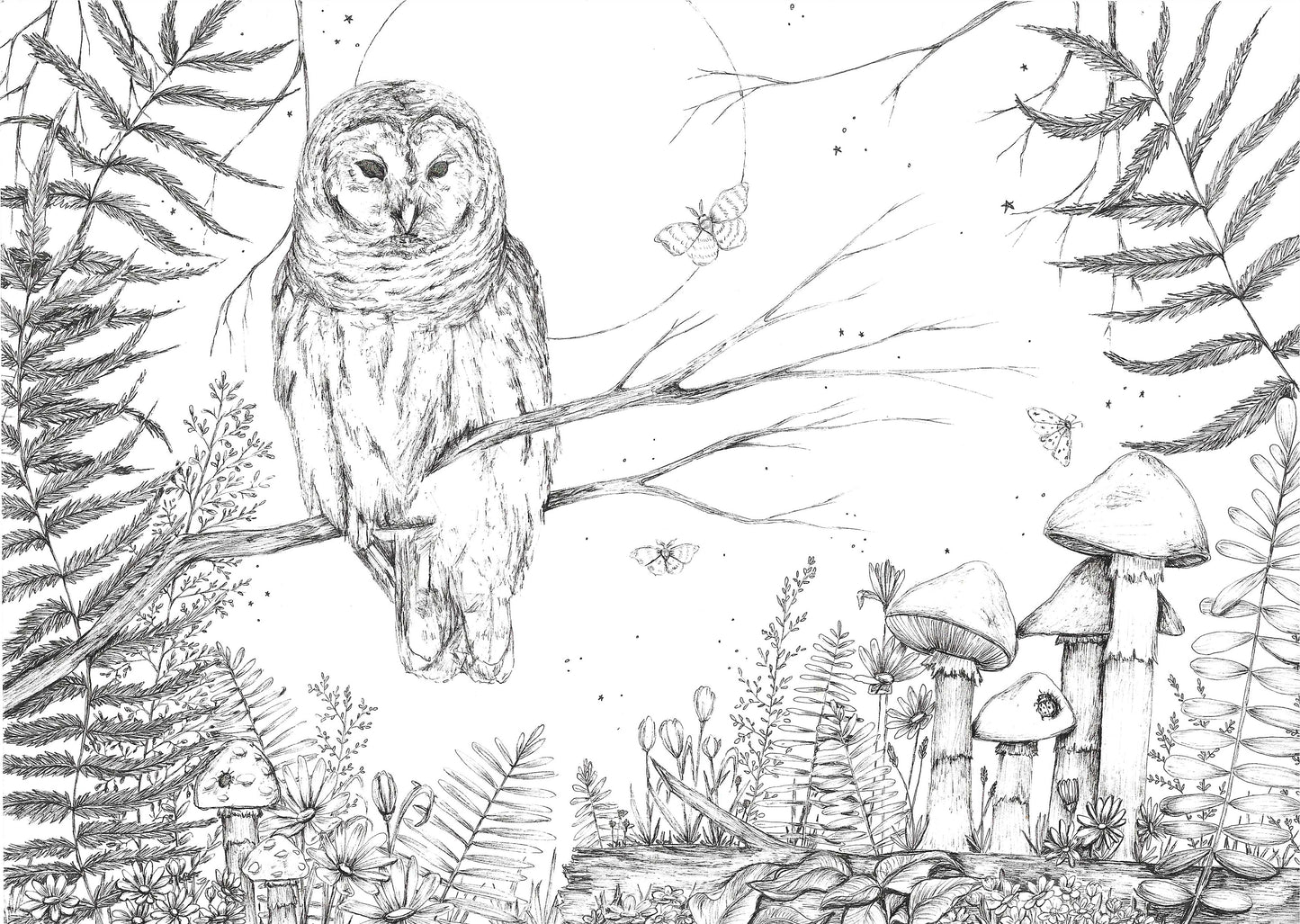 "Where the forest watches back"